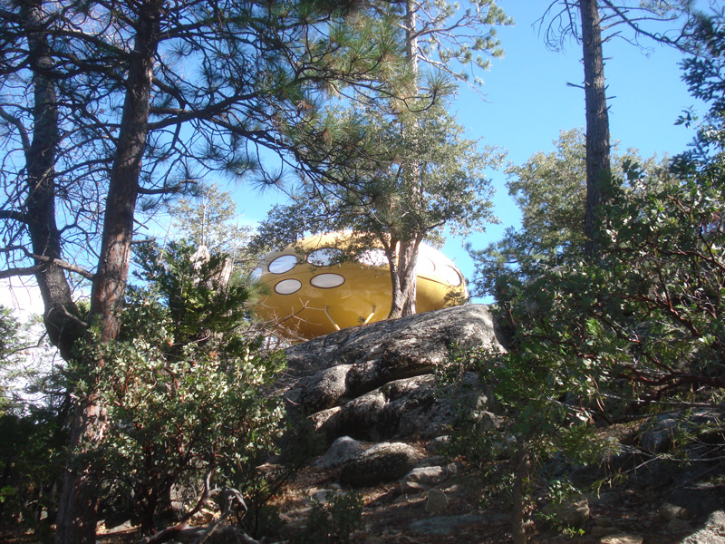 Idyllwild Futuro